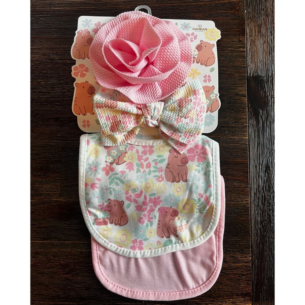 Ava Olivia Baby Girl Bib and Headband 4 PC Set Pink Rose and Floral Bow NEW